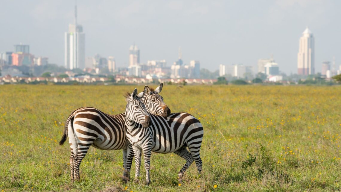 Kenya Finance Act 2026: What the Non-Resident Landlord Tax and Amnesty Mean for Foreign Property Owners