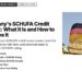 Landmark — German flag flying before ornate Bremen town hall facade, illustrating Germany's SCHUFA Credit Report: What It Is and How to Improve It