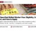 Market — seafood market stall with shrimp octopus and oysters, illustrating Japan's Specified Skilled Worker Visa: Eligibility, Covered Industries, and How to Apply