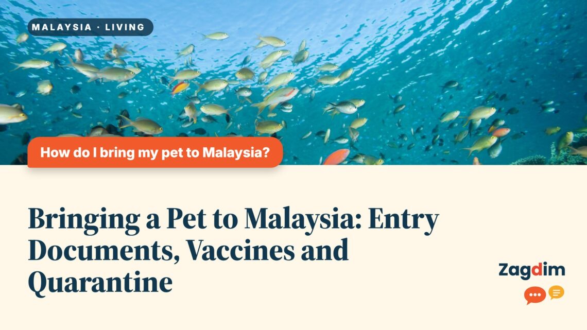 Underwater coral reef with colourful tropical fish, illustrating Bringing a Pet to Malaysia: Entry Documents, Vaccines and Quarantine