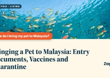 Underwater coral reef with colourful tropical fish, illustrating Bringing a Pet to Malaysia: Entry Documents, Vaccines and Quarantine