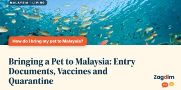 Underwater coral reef with colourful tropical fish, illustrating Bringing a Pet to Malaysia: Entry Documents, Vaccines and Quarantine
