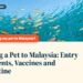 Underwater coral reef with colourful tropical fish, illustrating Bringing a Pet to Malaysia: Entry Documents, Vaccines and Quarantine