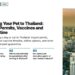 Bangkok Aerial — dense hazy, illustrating Bringing Your Pet to Thailand: Import Permits, Vaccines and Quarantine