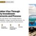 Transport — Dubai Metro train on elevated track, illustrating UAE Golden Visa Through Property Investment: Requirements and Process
