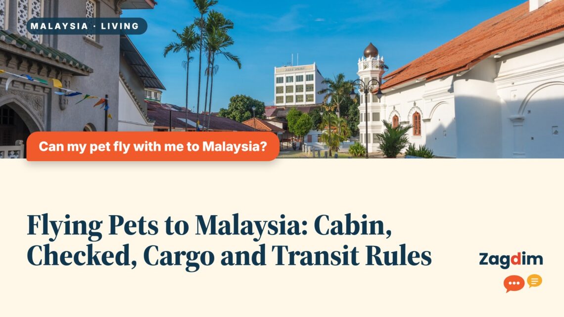 Colonial-era building along a palm-lined Penang street, illustrating Flying Pets to Malaysia: Cabin, Checked, Cargo and Transit Rules
