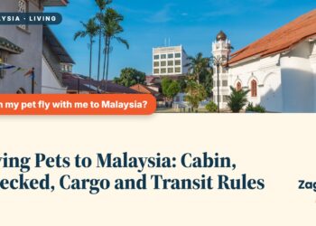 Colonial-era building along a palm-lined Penang street, illustrating Flying Pets to Malaysia: Cabin, Checked, Cargo and Transit Rules