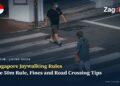 Singapore Jaywalking Rules and Fines: The 50m Rule, Traffic Lights and Zebra Crossings Explained