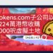 虛擬土地