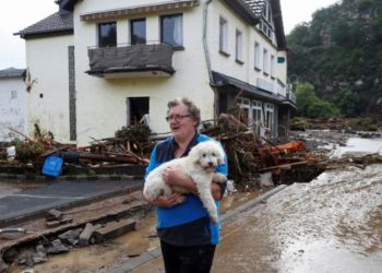 最新報告指:英國四分之一的房產面臨洪水風險 ,怎查找洪水威脅?