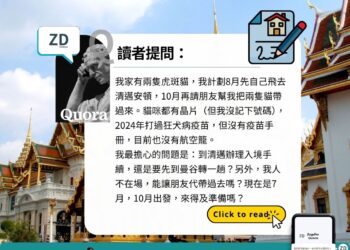 讀者Quora——兩隻貓從台灣搬去清邁,可以直飛嗎?關卡比我想的多嗎??