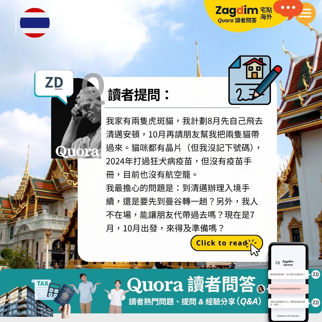 讀者Quora——兩隻貓從台灣搬去清邁,可以直飛嗎?關卡比我想的多嗎??