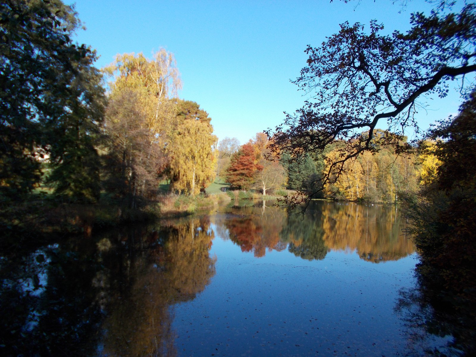 Hampstead Heath 秋色池塘
