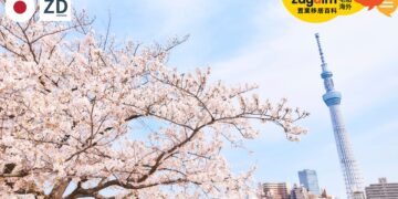外國人在日本購買房產流程怎樣走?從看房、出價到過戶登記