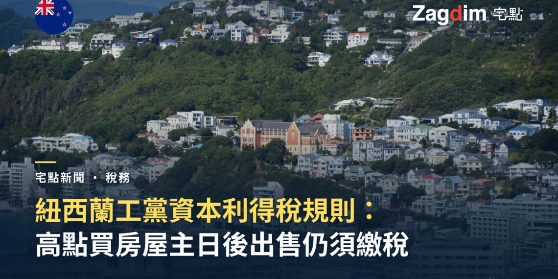 紐西蘭威靈頓港灣上方山坡的密集住宅