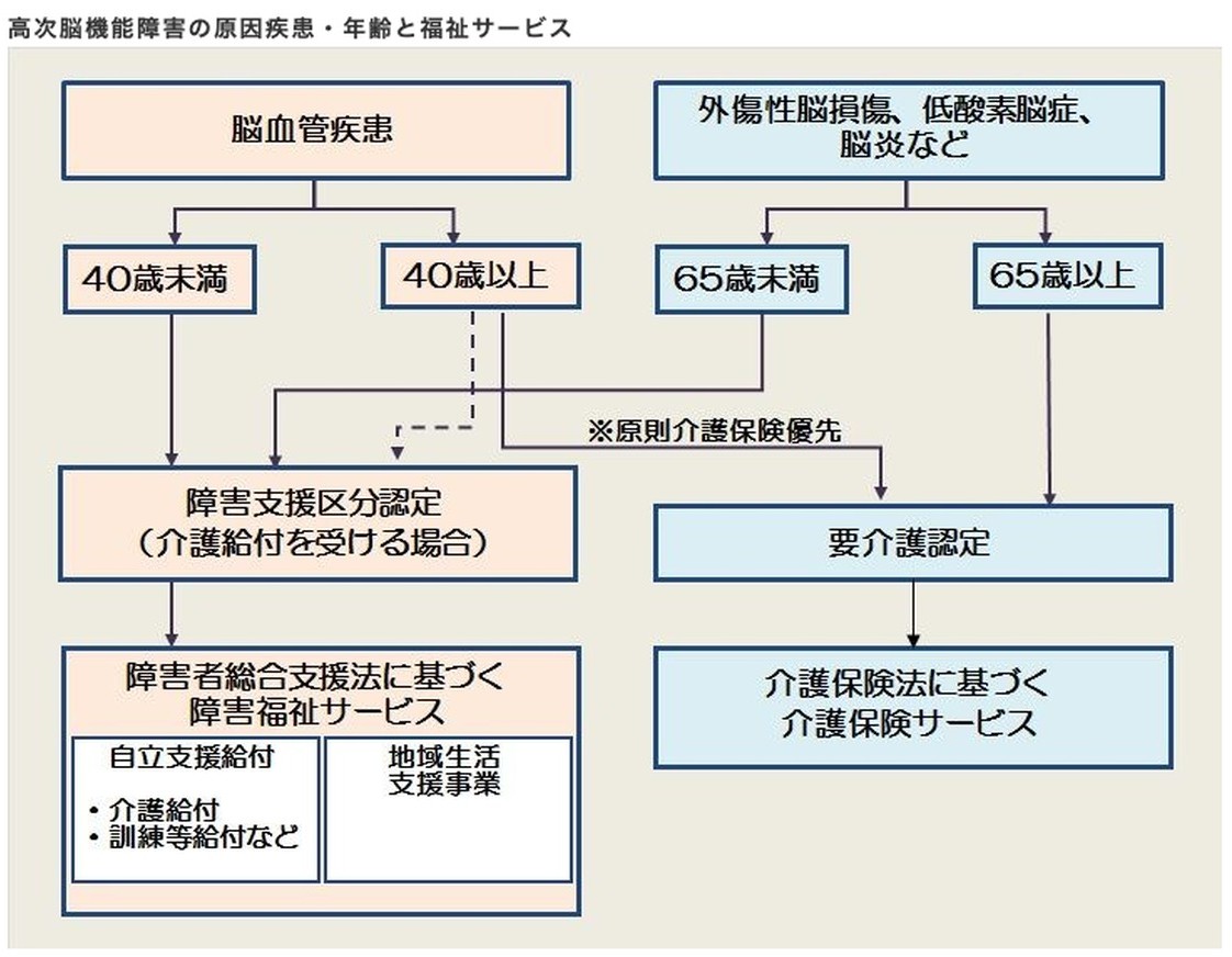 國立障害者復健中心流程圖:腦血管疾病依 40 歲前後、外傷性腦損傷依 65 歲前後,分別走障害福祉服務或介護保險服務