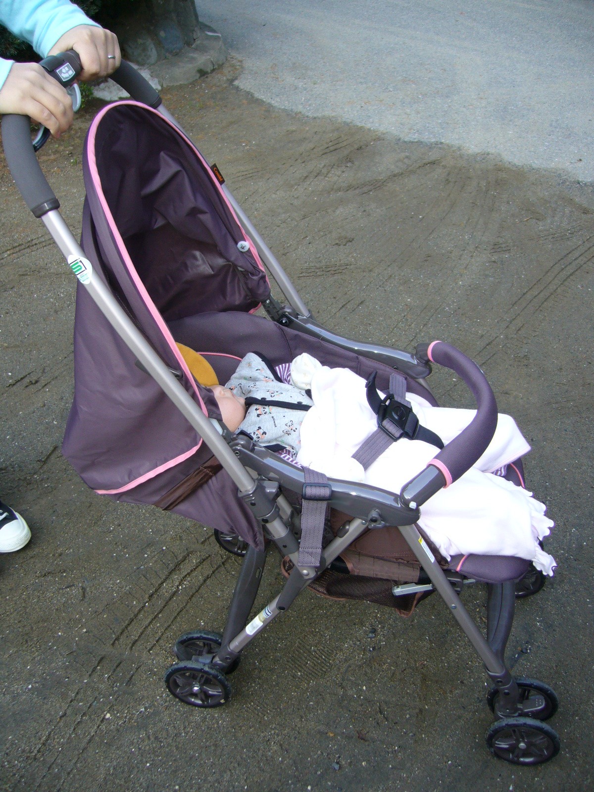 大人推著嬰兒車,車裡的嬰兒蓋著毯子