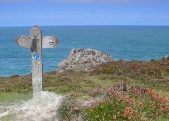 A wooden waymarker sign on the Pembrokeshire Coast Path overlooking the sea and coastal rock outcrops