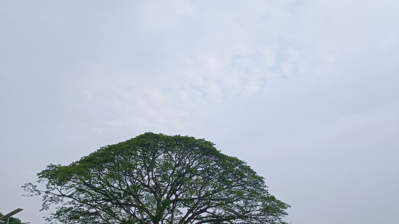 2026 年煙霾季中的沙巴街景,天空呈灰白色