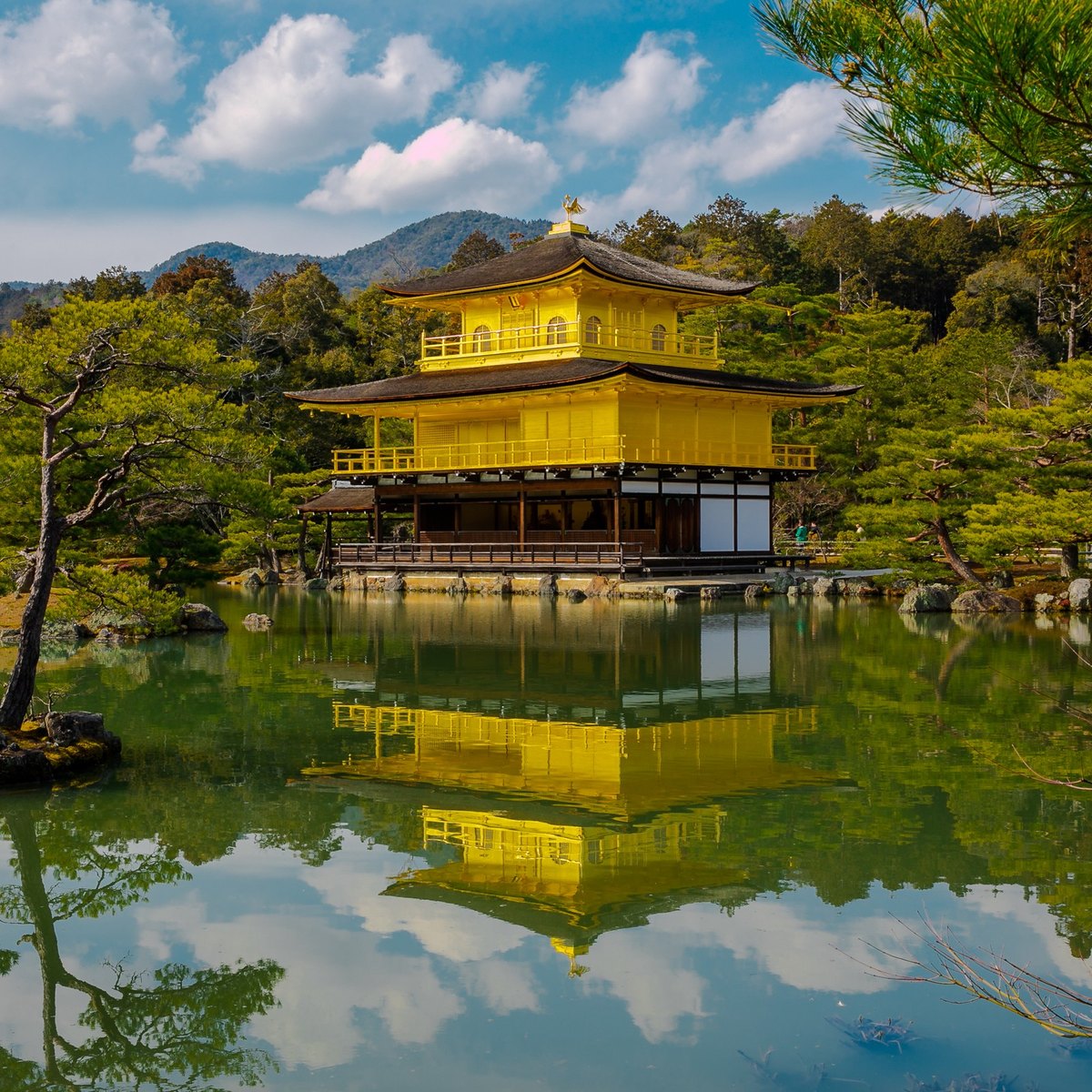 京都金閣寺倒映在池面,配在日本長期生活與申請永住主題