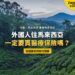 彭亨金馬崙高原茶園,配外國人醫療保險主題