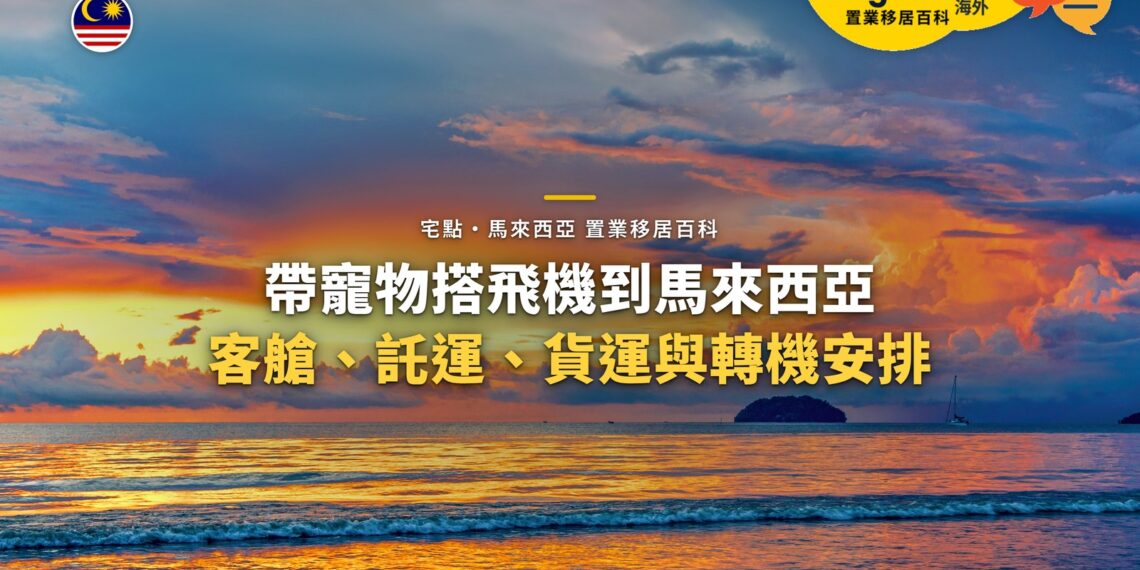 海上晚霞天空,配帶寵物搭飛機主題