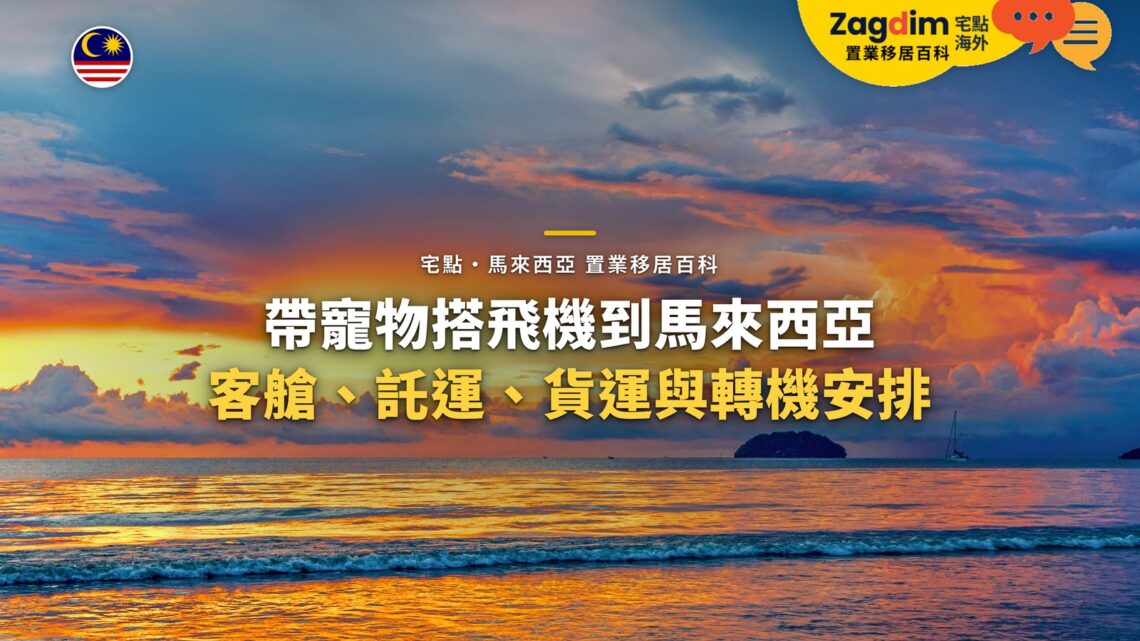 海上晚霞天空,配帶寵物搭飛機主題