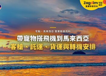 海上晚霞天空,配帶寵物搭飛機主題
