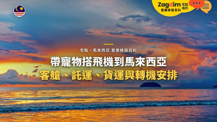 海上晚霞天空,配帶寵物搭飛機主題