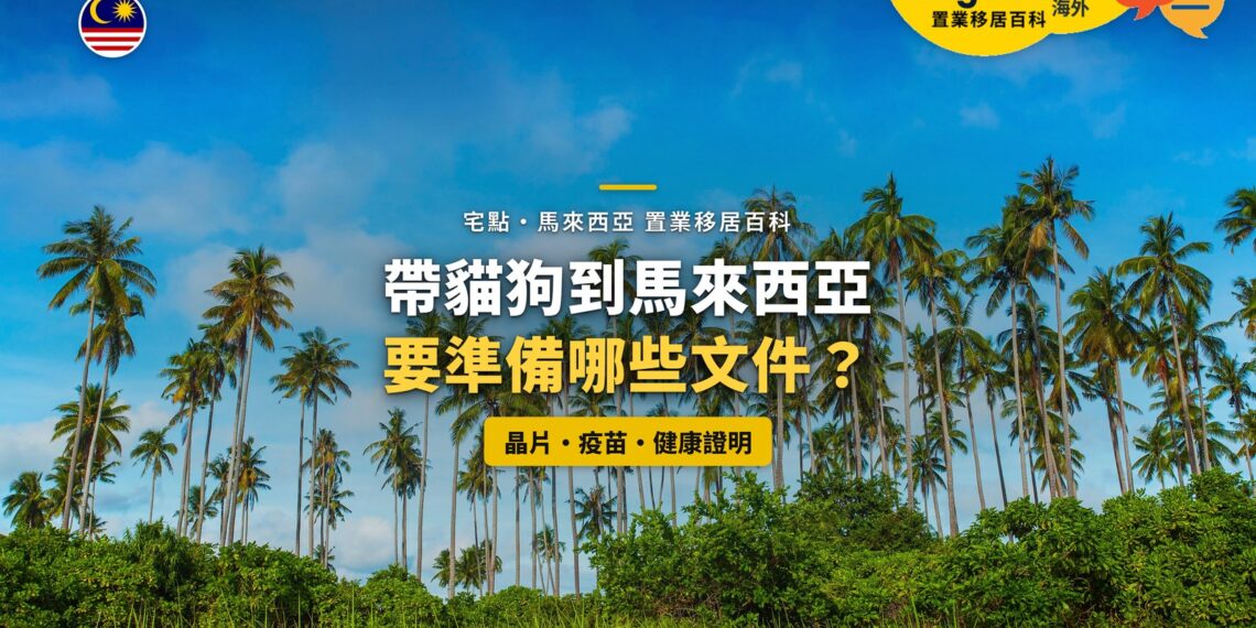 藍天下的椰林，配帶貓狗入境文件主題