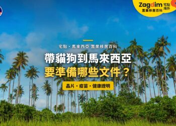 藍天下的椰林，配帶貓狗入境文件主題