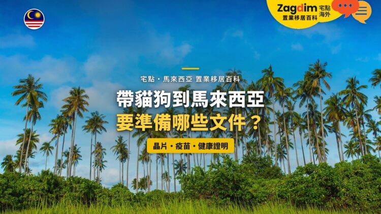 藍天下的椰林，配帶貓狗入境文件主題