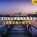 黃昏湖面棧橋與遠方城市,配寵物入境要求主題