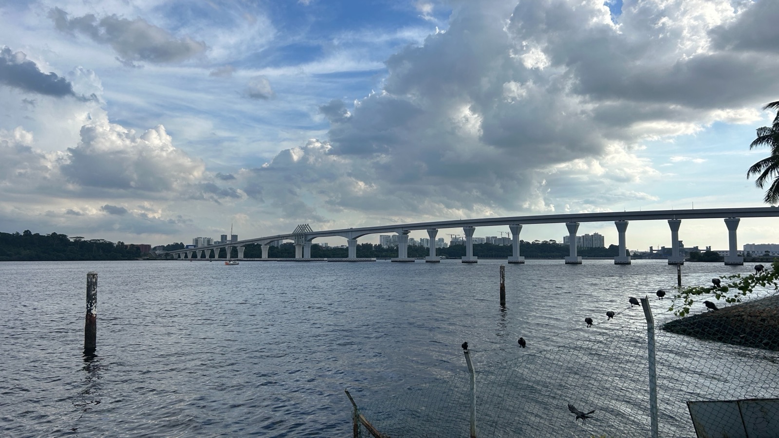 從新山一側望向柔佛海峽上的 RTS 捷運跨海橋,白色橋墩一字排開,天空多雲