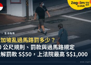 新加坡亂過馬路罰多少?50 公尺規則、紅綠燈與斑馬線規定,外國人走路前先看懂