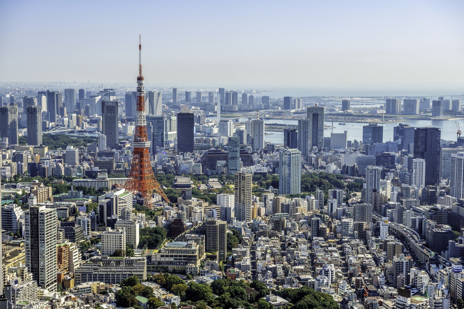 東京鐵塔與周邊市區、東京灣沿岸高樓的空拍景觀